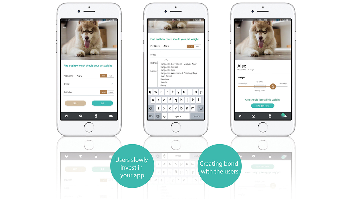 UX/UI Design - Unicorn - Pet Health App - StudioRed