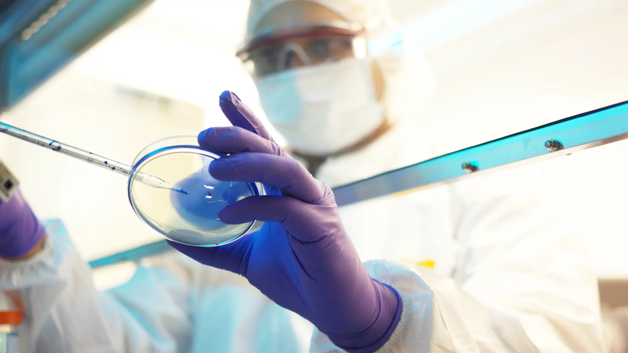 Scientist wearing protective gear and purple gloves uses a pipette to transfer liquid into a petri dish in a laboratory setting.